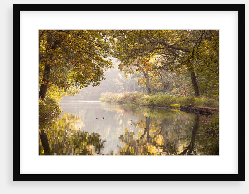 Basingstoke canal by Assaf Frank